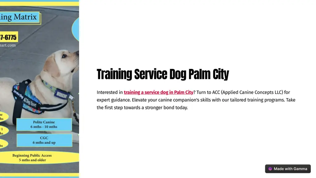 training service dog palm city