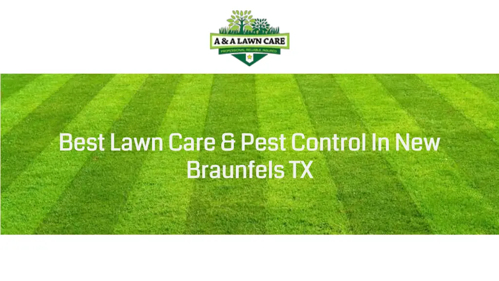 best lawn care pest control in new best lawn care