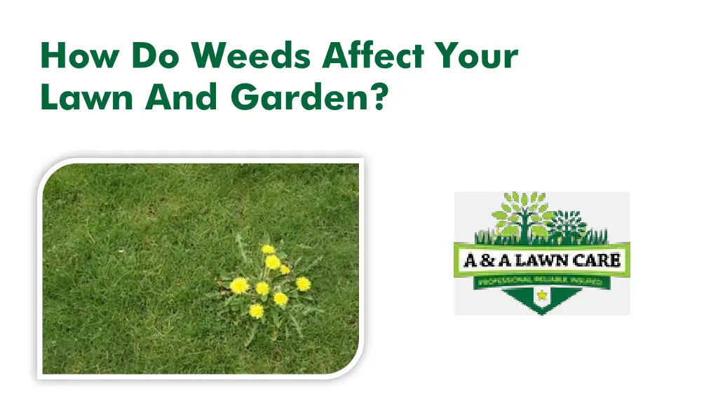 how do weeds affect your lawn and garden