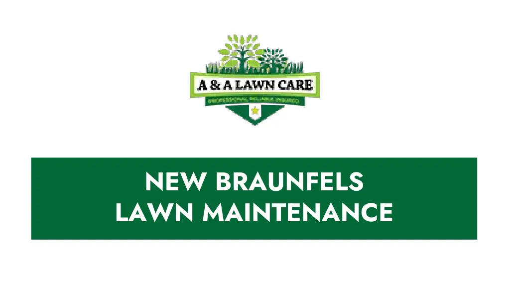 new braunfels lawn maintenance