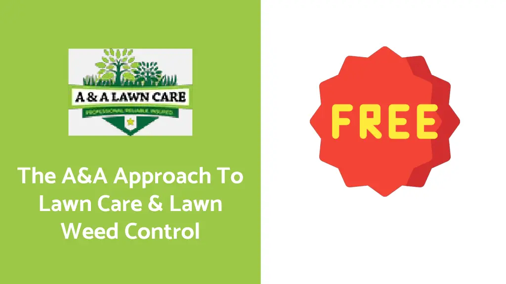 the a a approach to lawn care lawn weed control