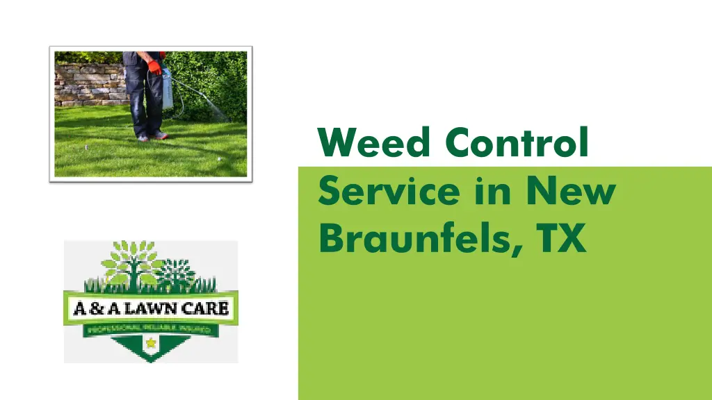 weed control service in new braunfels tx