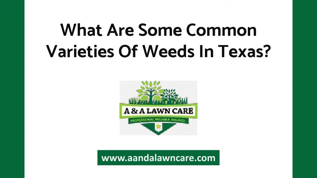 what are some common varieties of weeds in texas