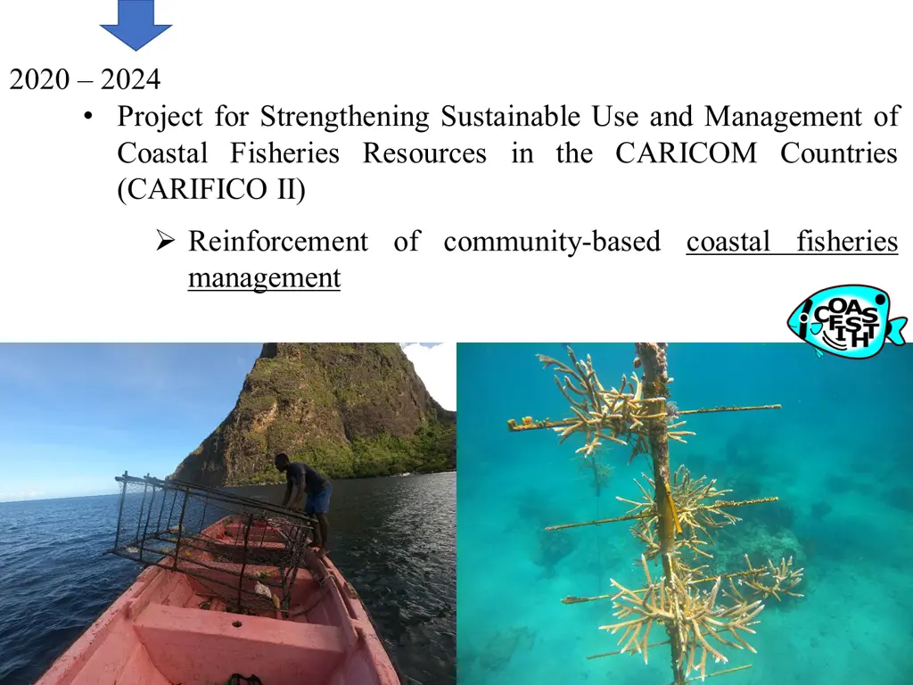 2020 2024 project for strengthening sustainable