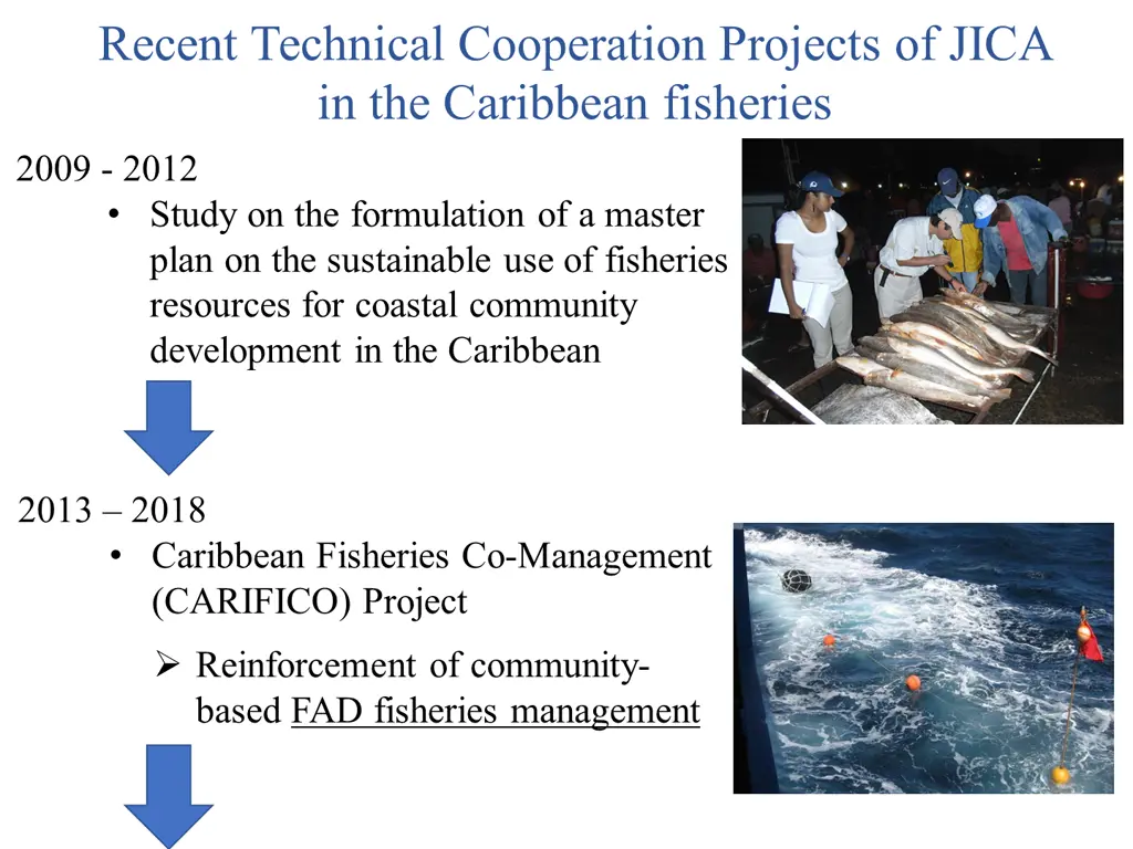 recent technical cooperation projects of jica