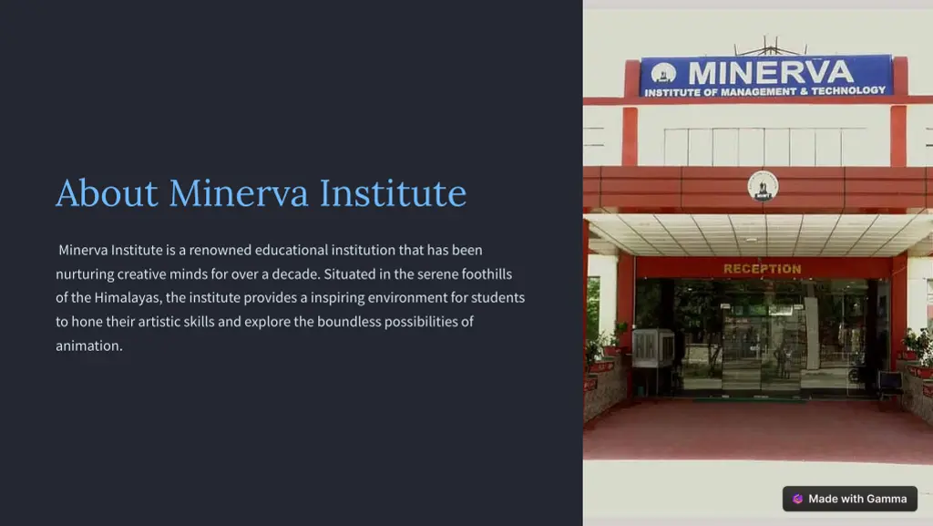 about minerva institute