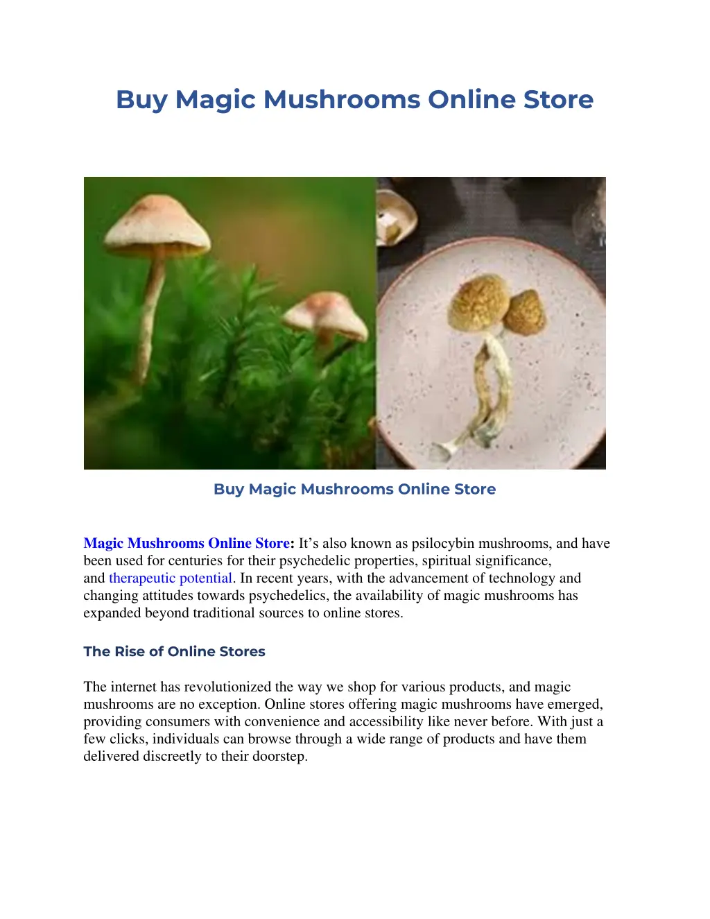 buy magic mushrooms online store