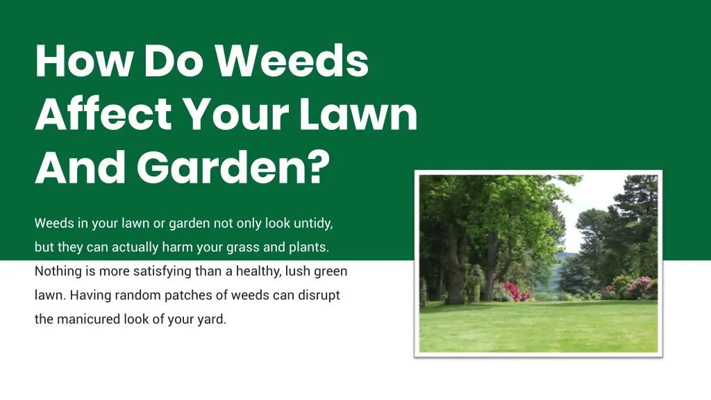 how do weeds affect your lawn and garden