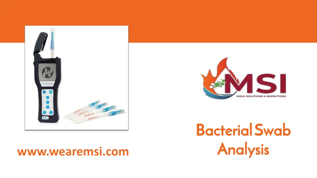 bacterial swab analysis