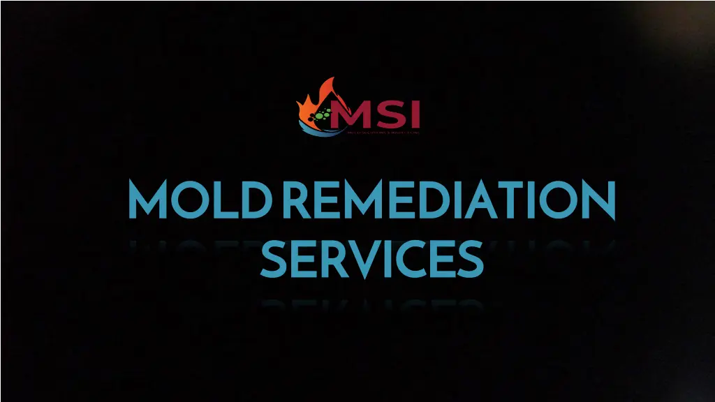 mold remediation services