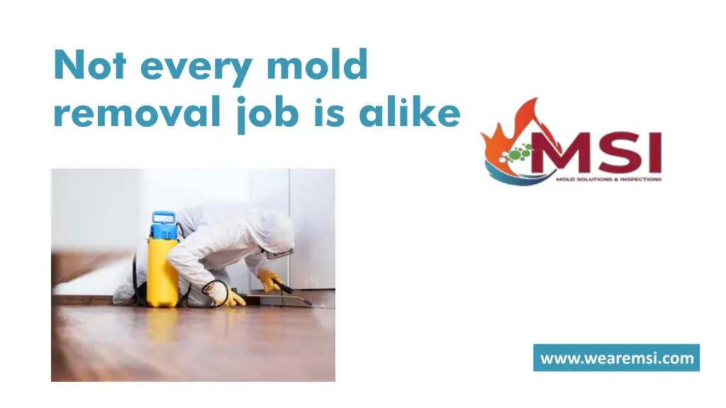 not every mold removal job is alike