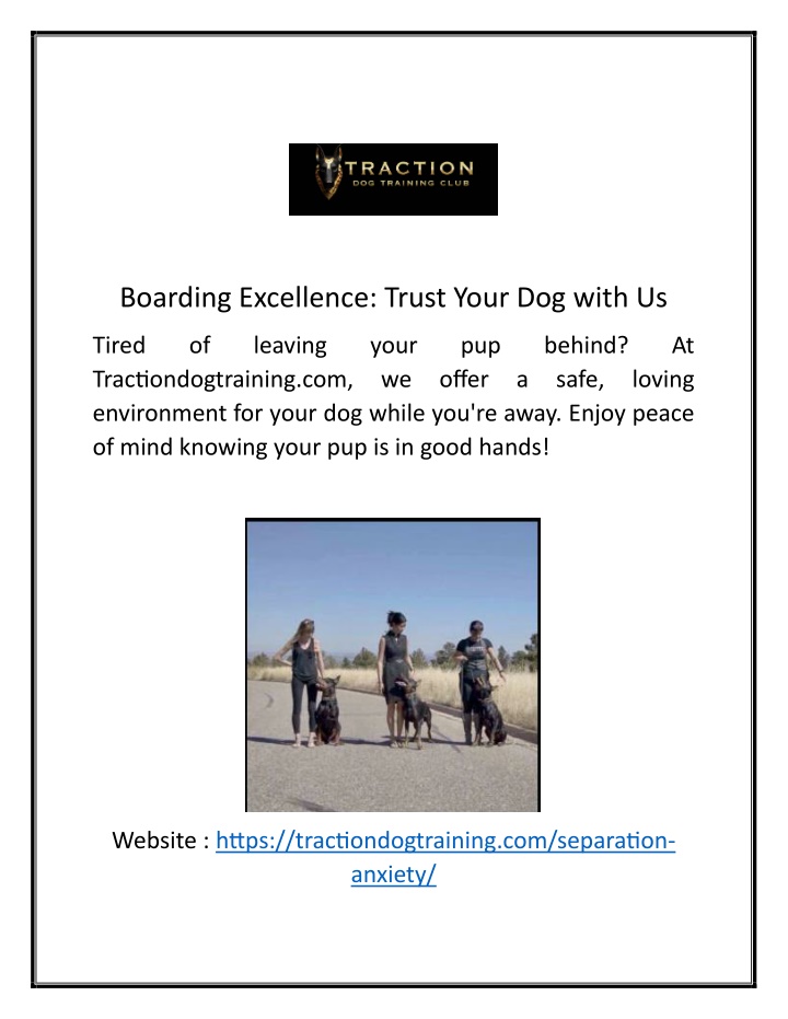 boarding excellence trust your dog with us