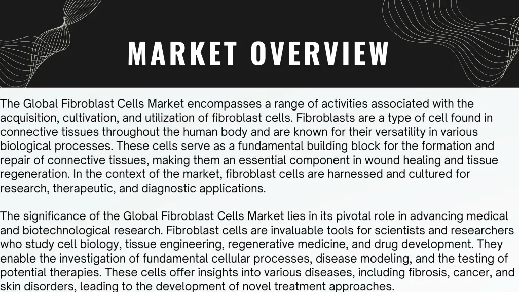 market overview