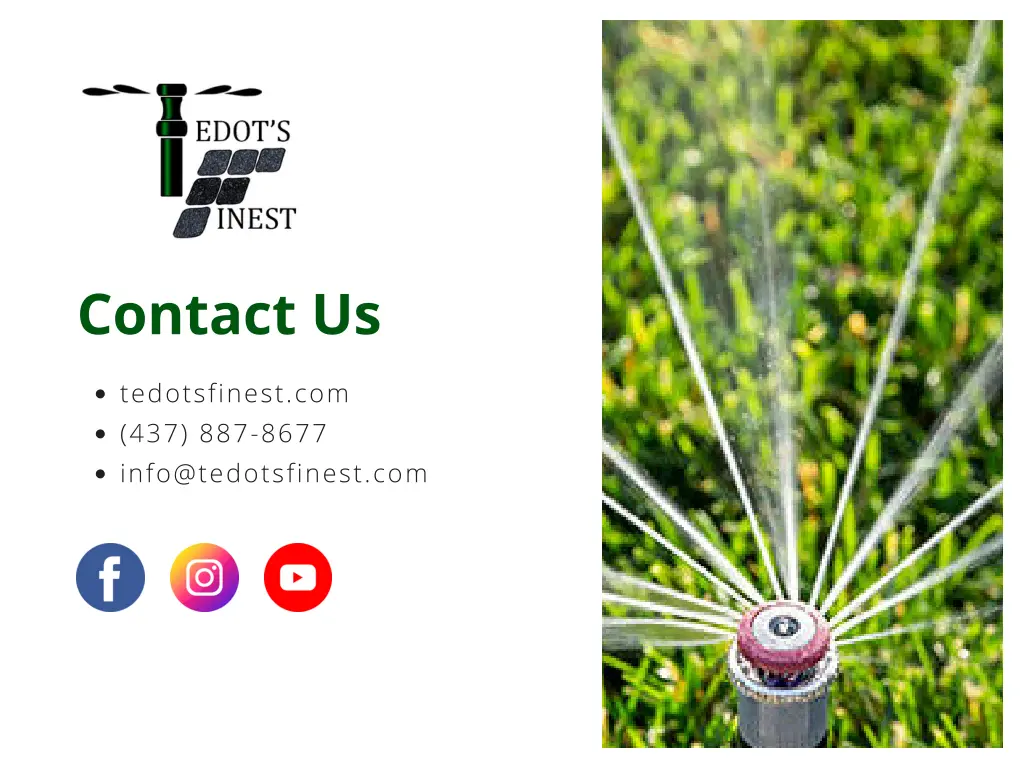 contact us