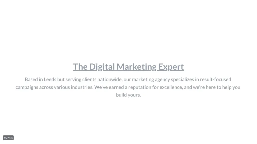 the digital marketing expert