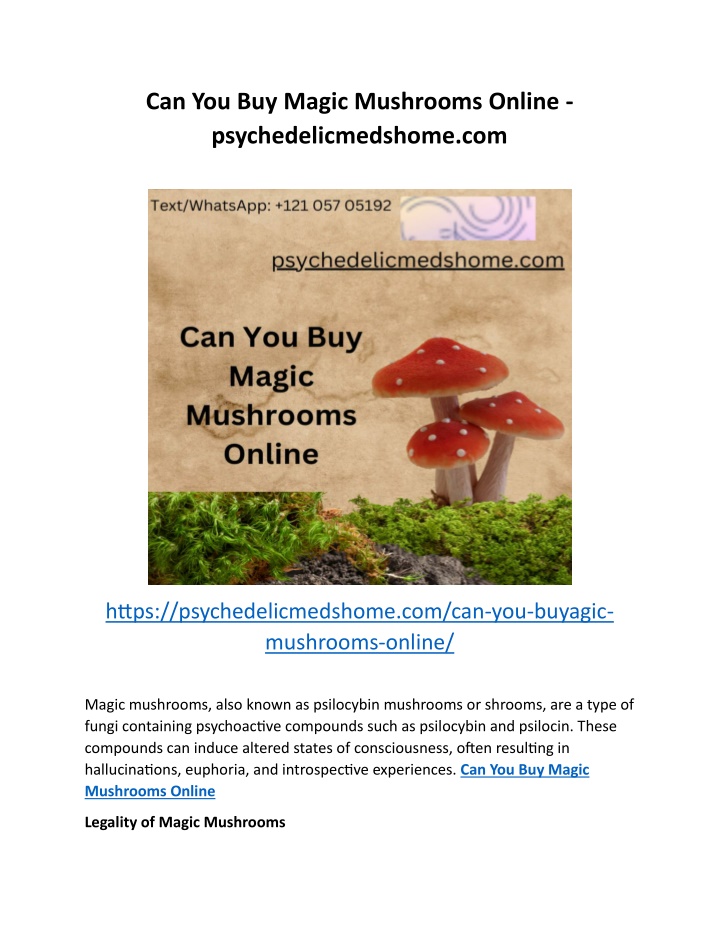 can you buy magic mushrooms online