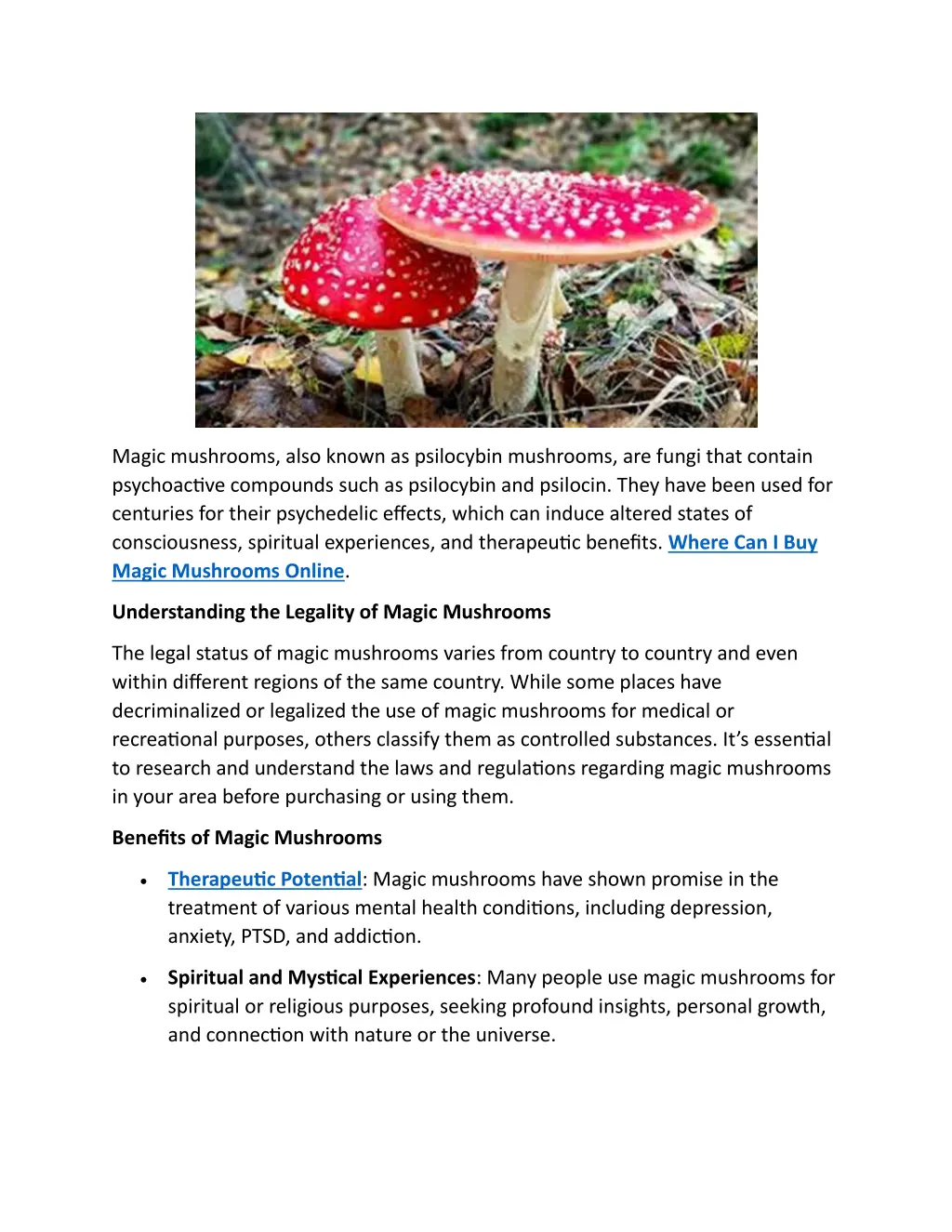 magic mushrooms also known as psilocybin