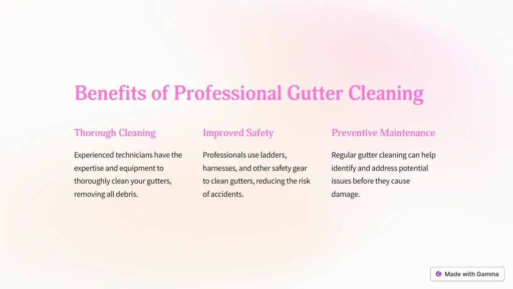 benefits of professional gutter cleaning