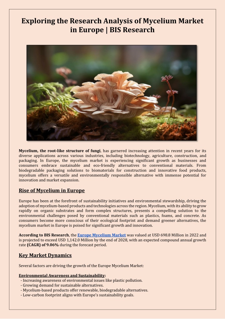 exploring the research analysis of mycelium
