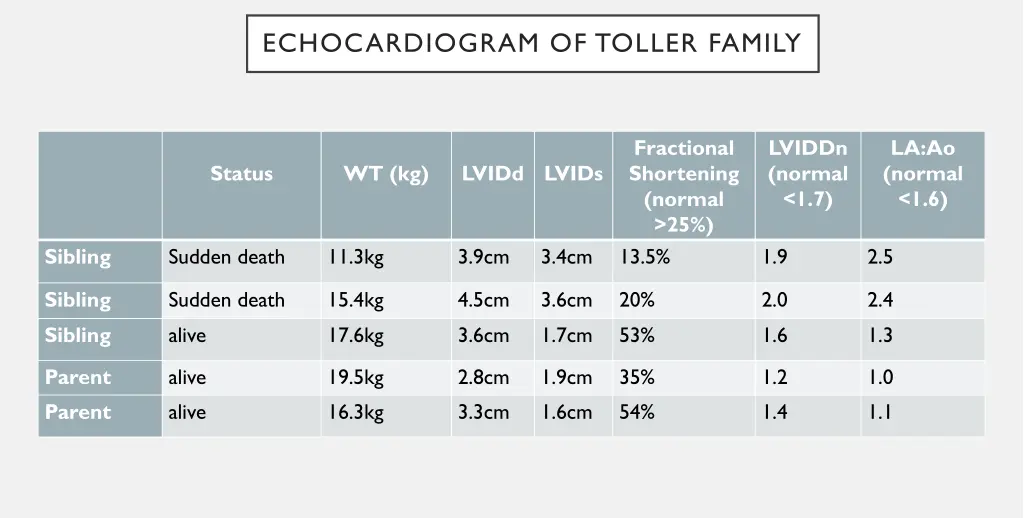 echocardiogram of toller family