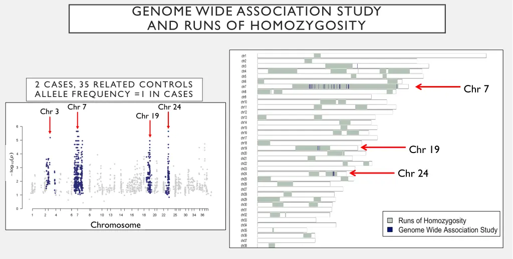 genome wide association study and runs