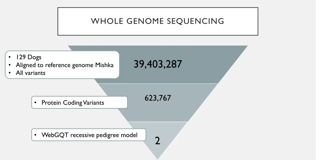 whole genome sequencing