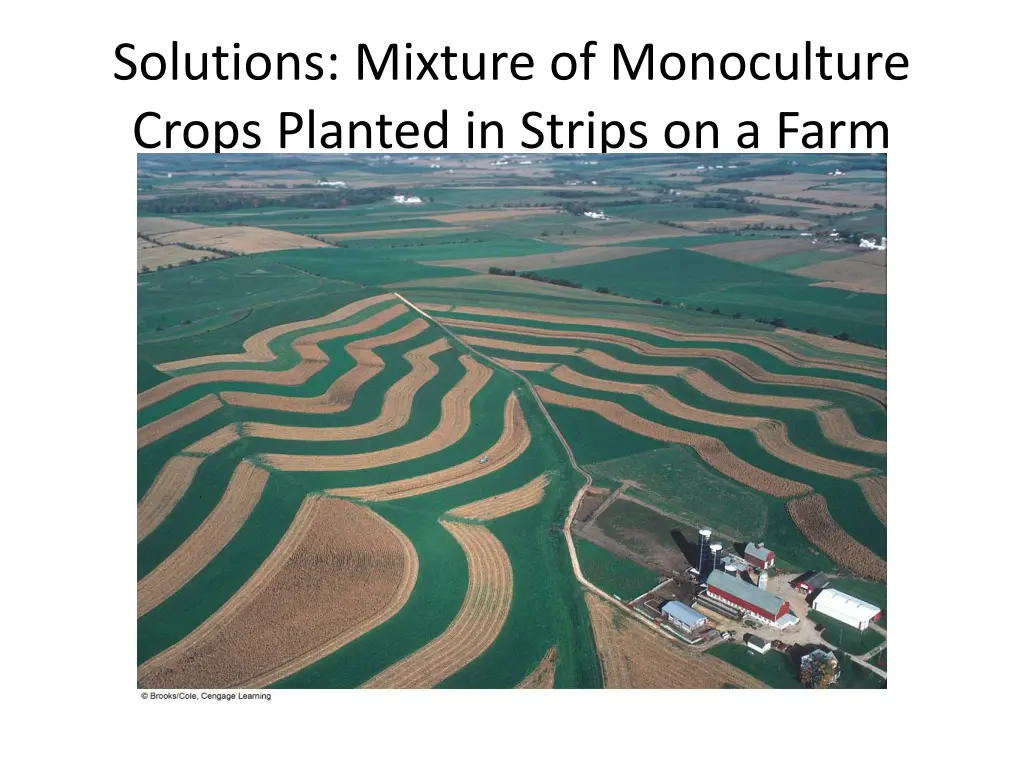 solutions mixture of monoculture crops planted