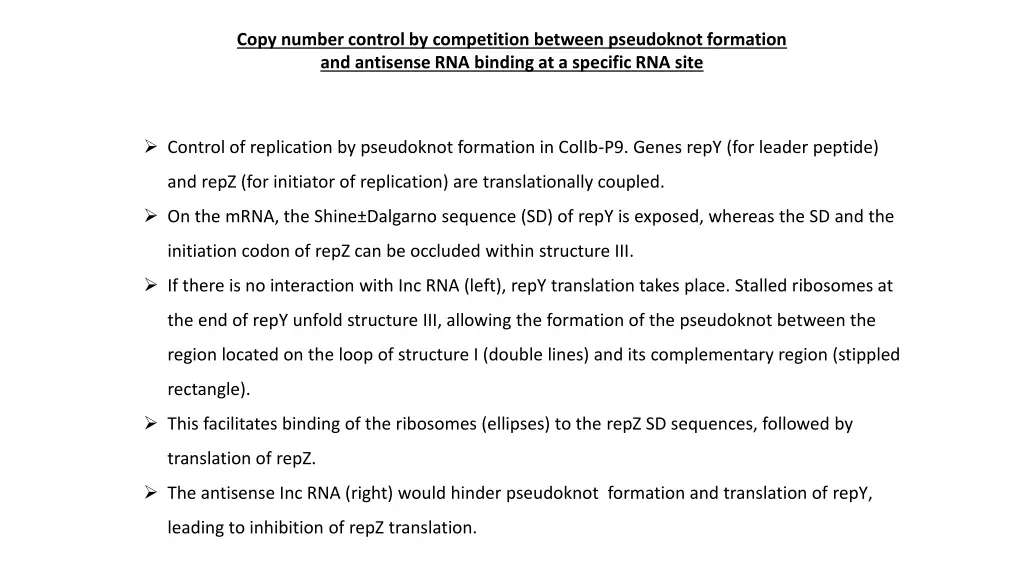 copy number control by competition between