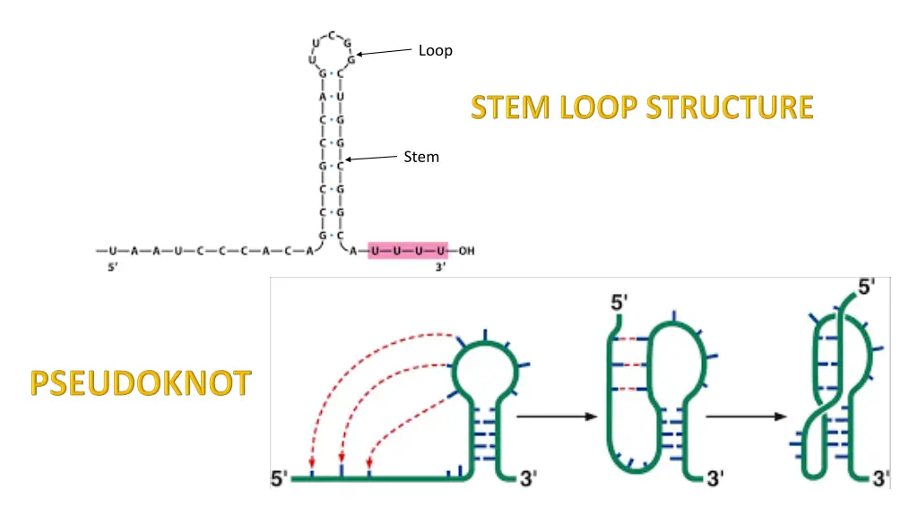 slide13