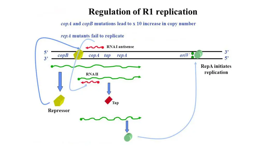 slide6