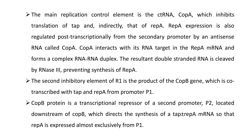 the main replication control element is the ctrna