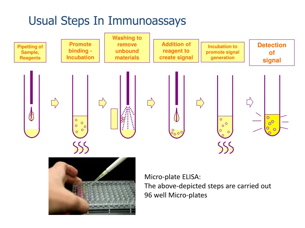 usual steps in immunoassays