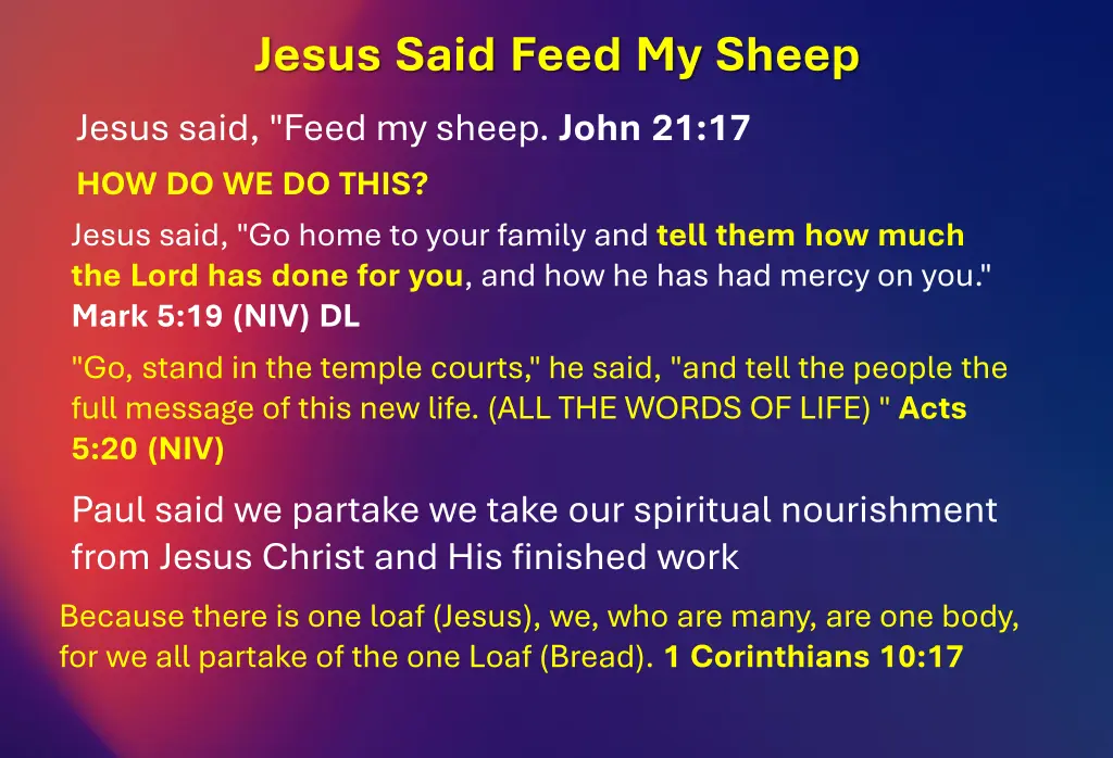 jesus said feed my sheep