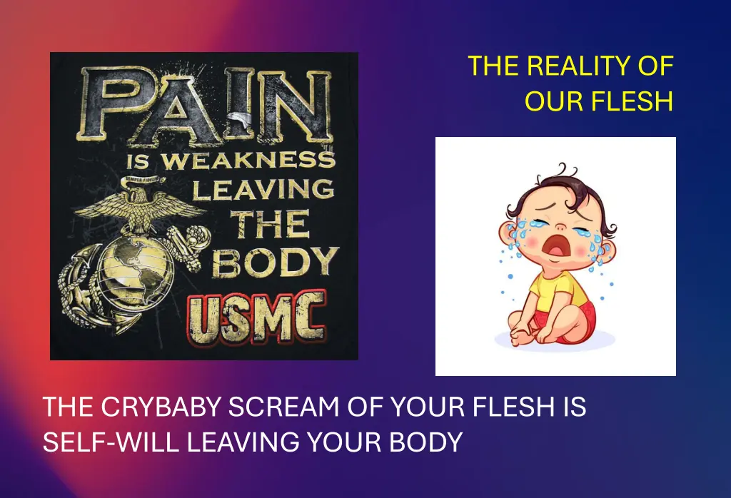 the reality of our flesh