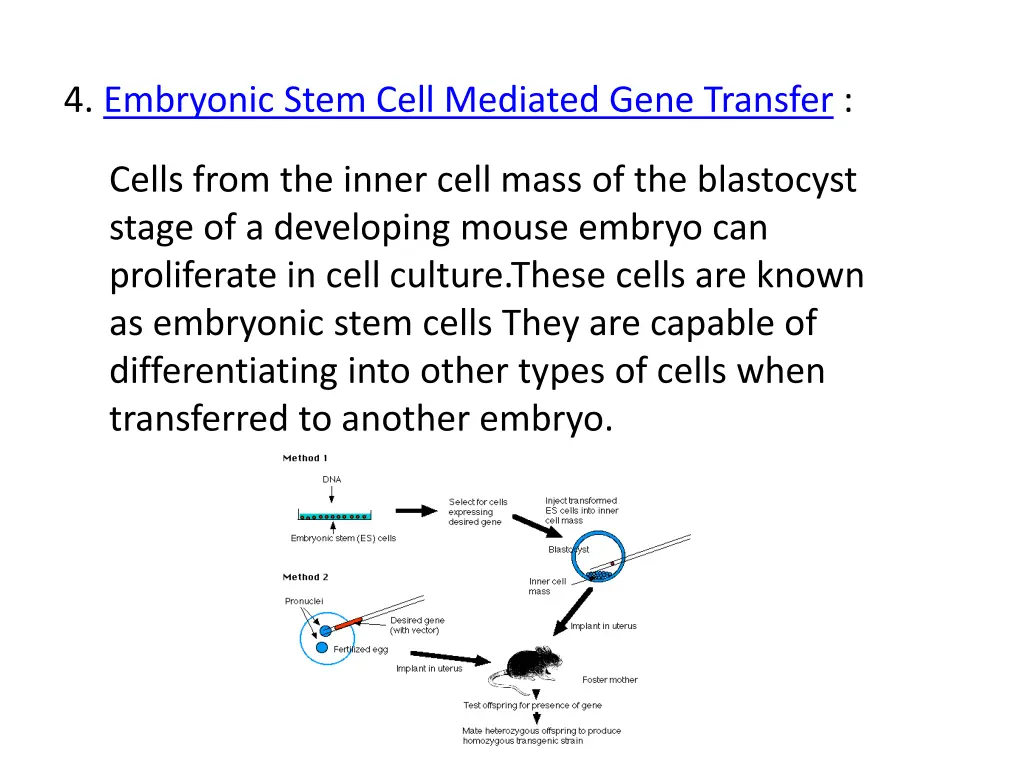4 embryonic stem cell mediated gene transfer