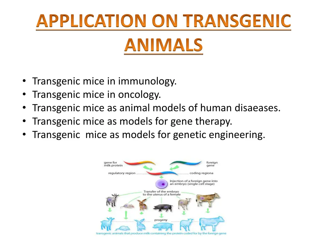 application on transgenic animals