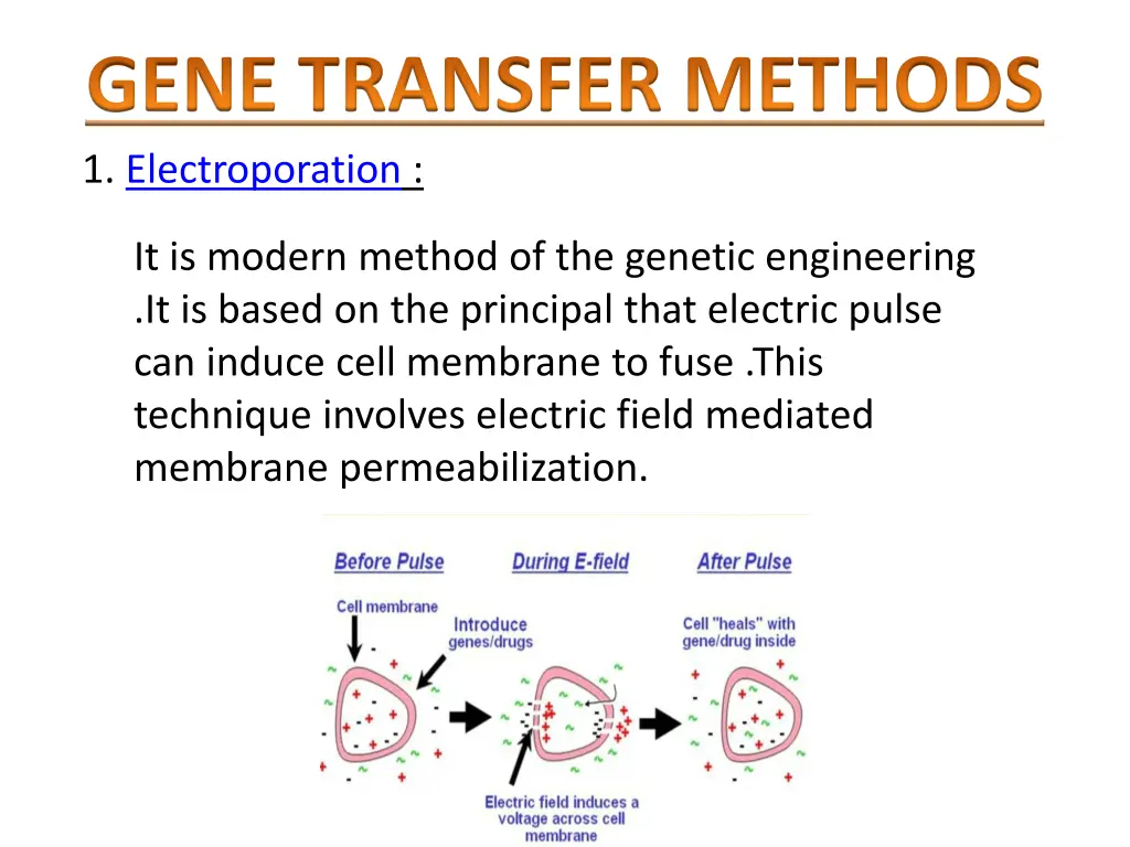 gene transfer methods 1 electroporation