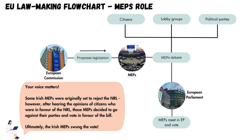 eu law making flowchart meps role