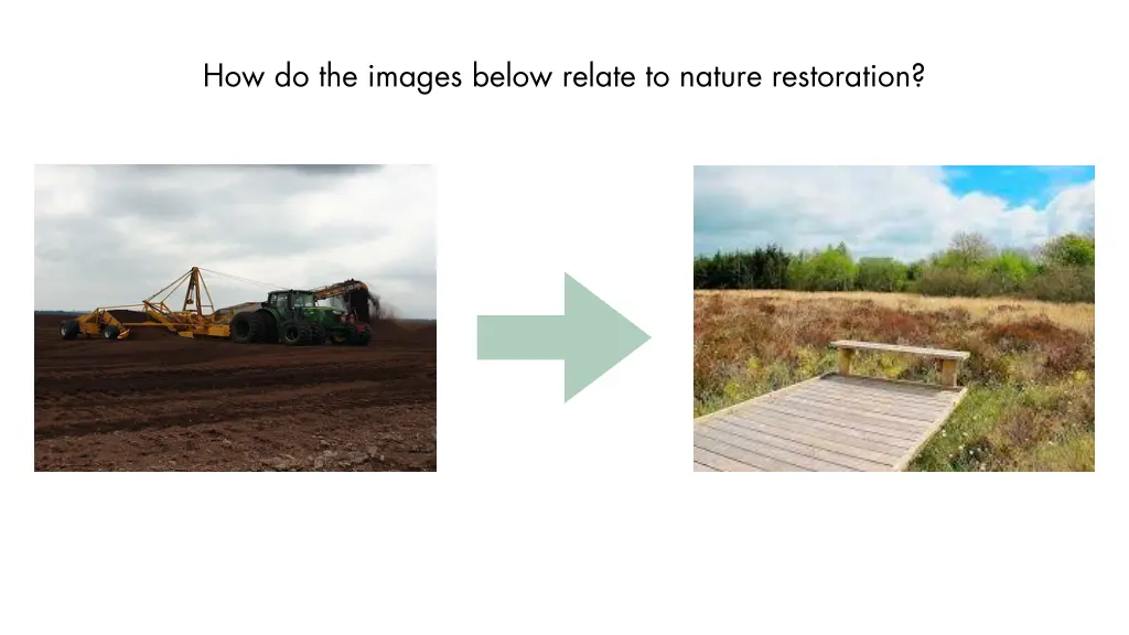 how do the images below relate to nature 1
