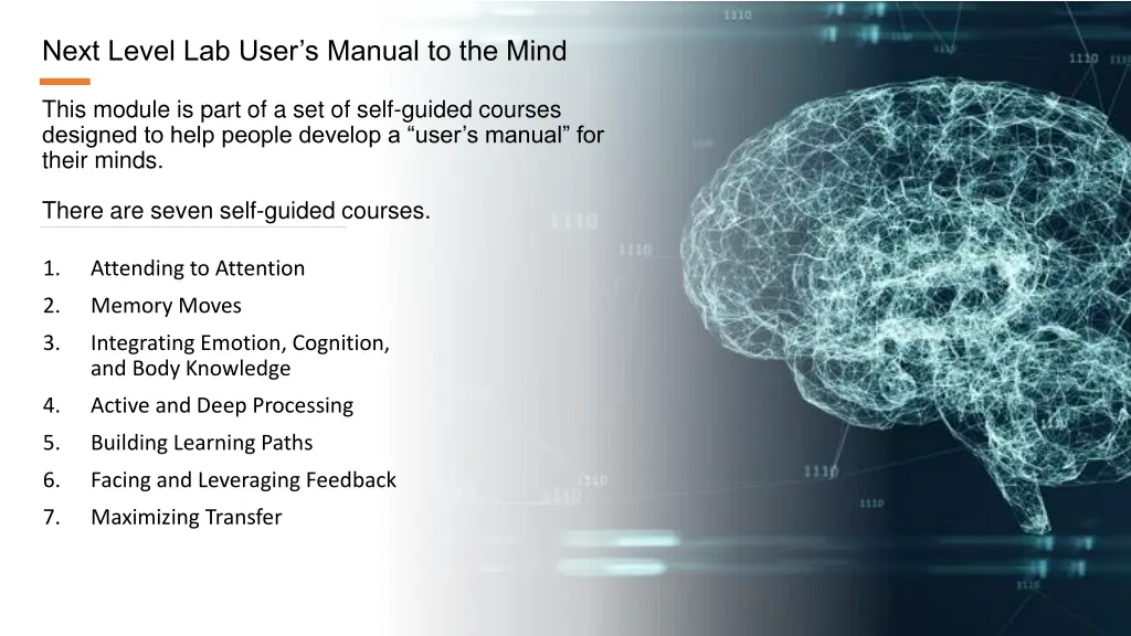 next level lab user s manual to the mind