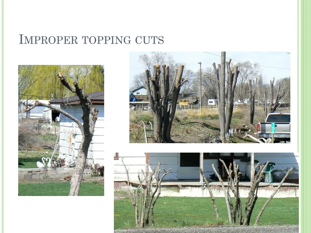 i mproper topping cuts