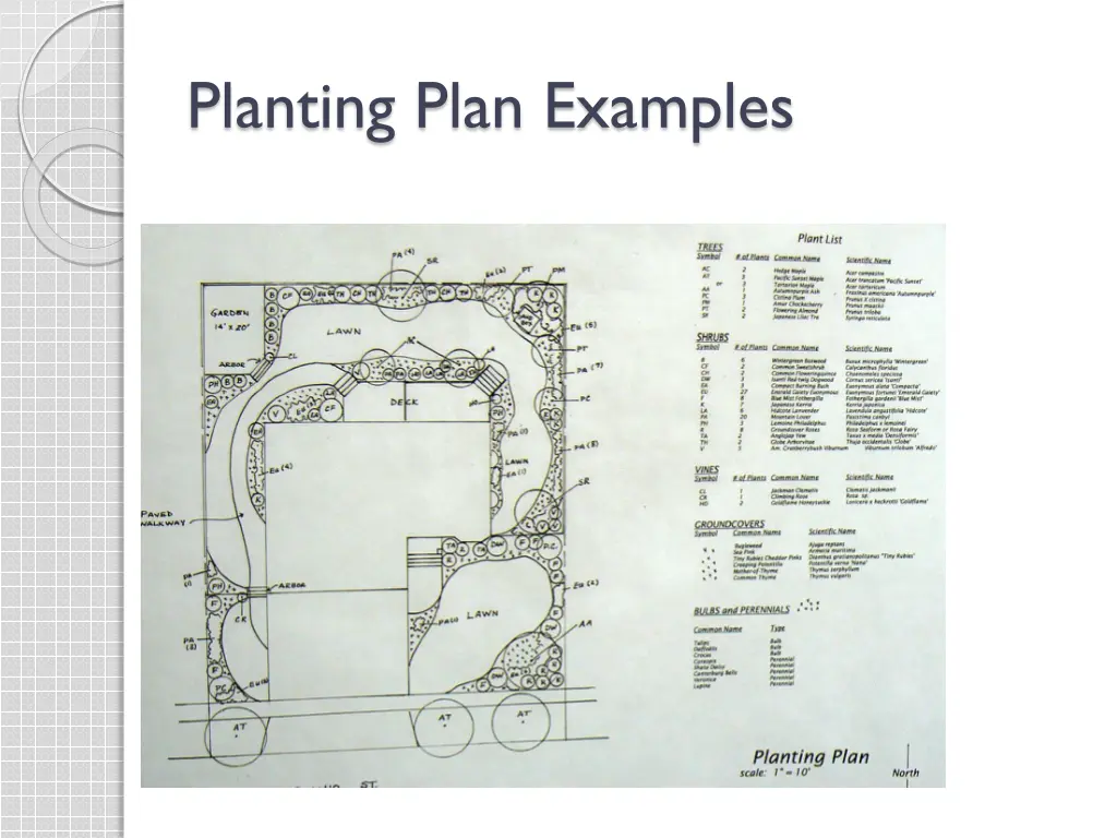 planting plan examples