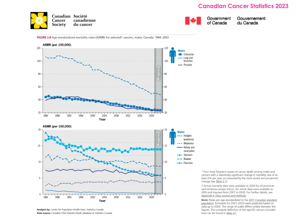 canadian cancer statistics 2023 17