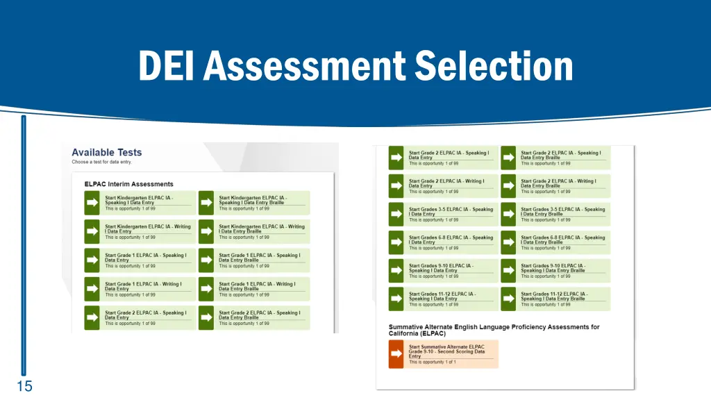 dei assessment selection