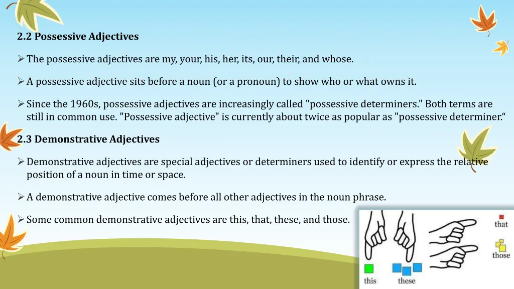 2 2 possessive adjectives