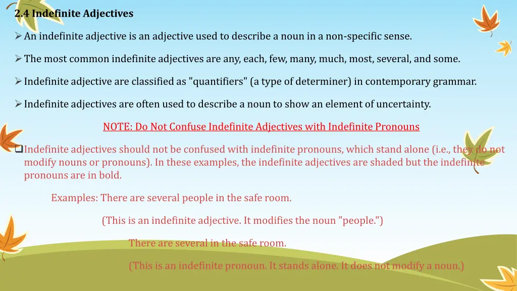 2 4 indefinite adjectives