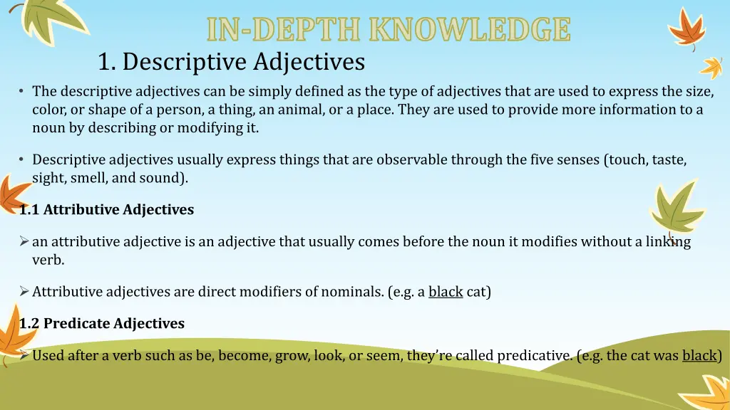 in depth knowledge 1 descriptive adjectives