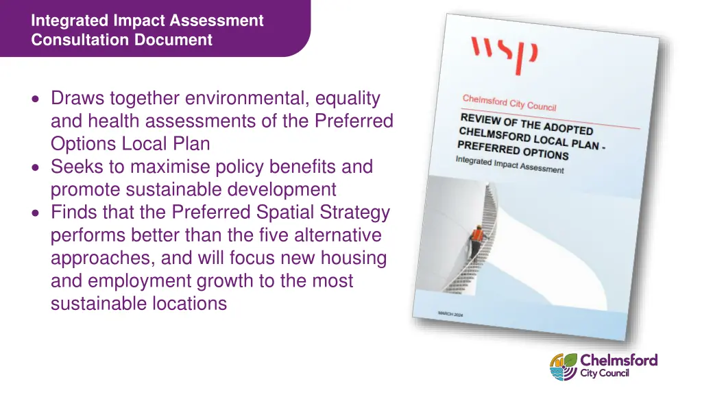 integrated impact assessment consultation document