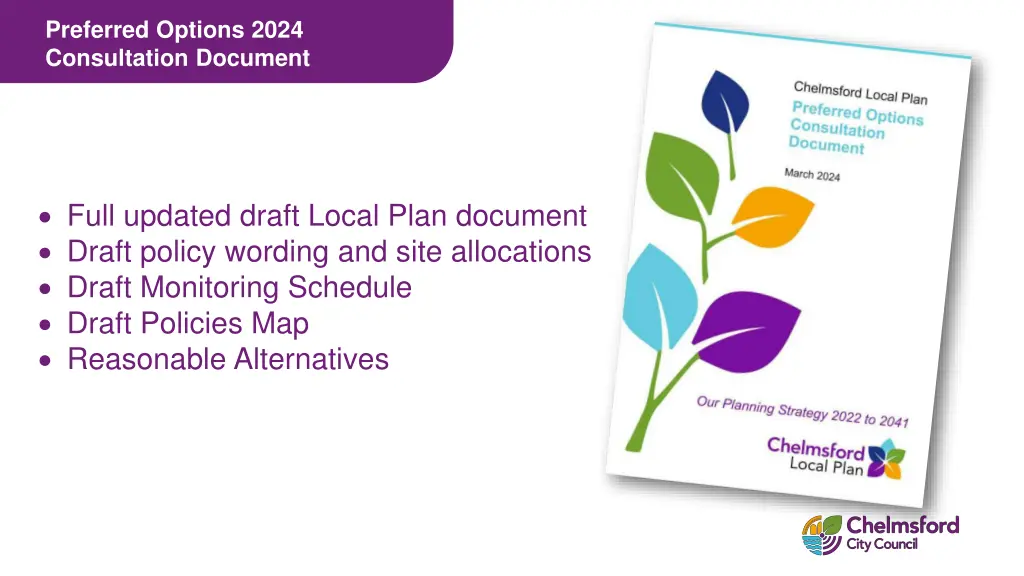 preferred options 2024 consultation document