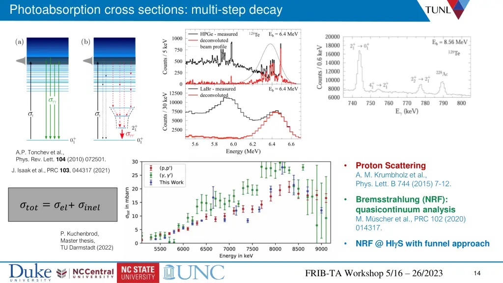 photoabsorption cross sections multi step decay